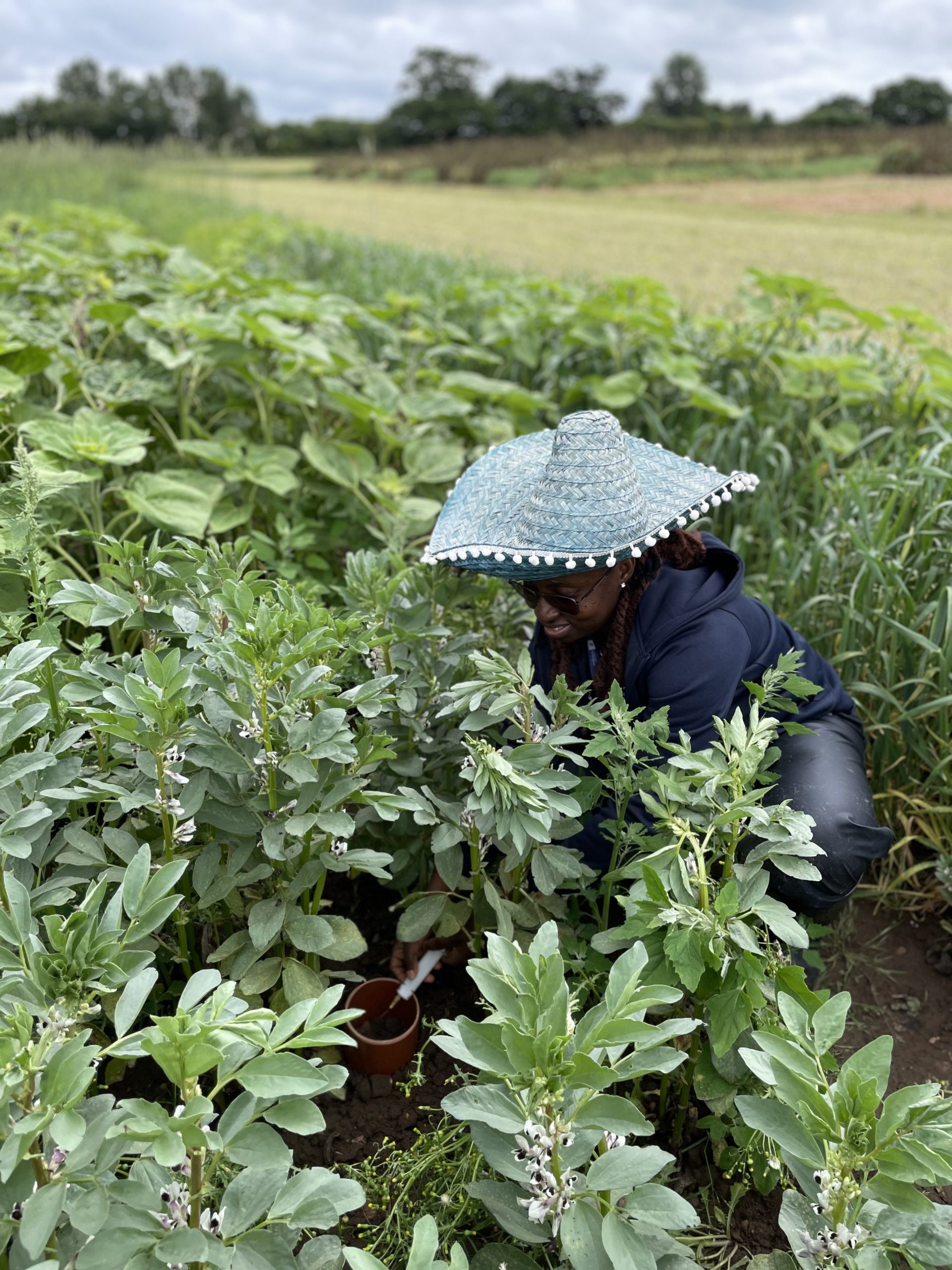 Publication: Improving Annotation, Access, and Comparison of Nutritional Composition Data for Underutilised Crops
